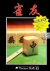 Janyu Mahjong Box Art